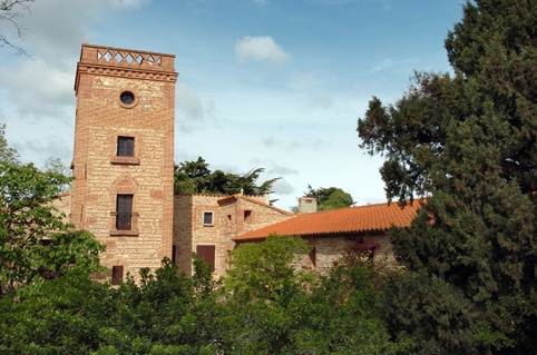 דומיין לפאג'